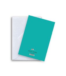 arte papel coleccion 12x17 cat ballon-8436608784301