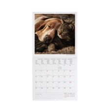Imagen Secuandaria de CALENDARIO 2027 PARED 18X18 BEST FRIENDS LEGAMI. Abrir galería completa.