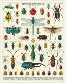 puzle bichos e insectos 1000 piezas cavallini-9781639472819
