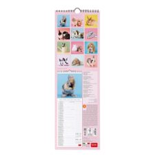 calendario 2026 pared mes vista honey bunny legami-8052694033620