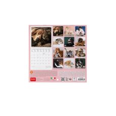 Imagen Secuandaria de CALENDARIO 2027 PARED 18X18 BEST FRIENDS LEGAMI. Abrir galería completa.