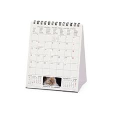 calendario 2026 sobremesa mes vista cats legami-8052694034450