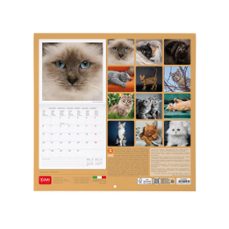 calendario 2025 pared mes vista cats legami multilingüe-8052694014391