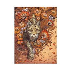 puzle mirada de lince 500 piezas paperblanks-9780349713991