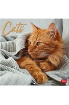 calendario 2025 pared mes vista cats legami multilingüe-8052694014391