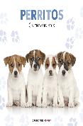 calendario perritos 2019-9788448024642 calendario perritos 2019-9788448024642