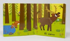 el bosque. toca y escucha-marion billet-9788408264309