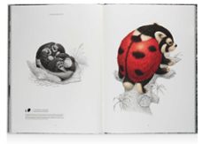 terra ultima-raoul deleo-noah j. stern-9788469889909