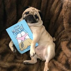 mi vida con mochi-9788416890613