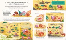 con calma aqui y ahora, mas historias de la naturaleza-laura brand-9788419401113