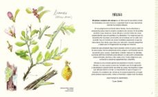mi primer cuaderno de campo-miquel baidal-esperanza jimenez-vanessa gonzalez-9788408318514
