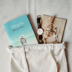 alegria (finalista premio planeta 2019)-manuel vilas-9788408246817