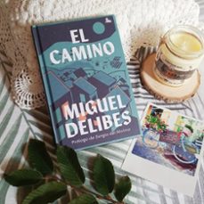 el camino-miguel delibes-9788423361519