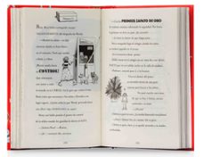 la guerra de los zapatos-liz pichon-9788469629420