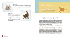 gatification-kate benjamin-jackson galaxy-9788417338121