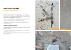 birds that leave their mark-luisa abenza-9788416728626