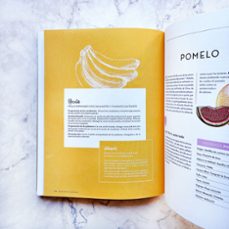 atlas de los sabores-raphael haumont-thierry marx-9791387761127