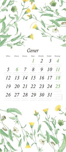 sols. volum 1-fabien velhmann-9791387878030