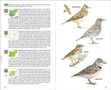 birds of spain (2nd. edition)-9788416728732