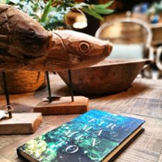 firmamento-maxim huerta-9788467055634