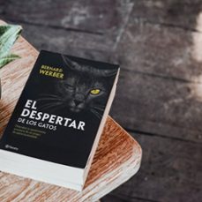 el despertar de los gatos-bernard werber-9788408251835