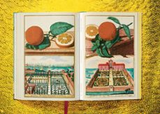 j. c. volkamer. the book of citrus fruits-iris lauterbach-9783836535250