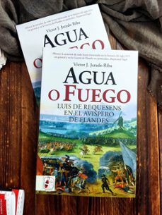 Imagen Secuandaria de Agua o fuego. Luis de Requesens en el avispero de Flandes. Abrir galería completa.