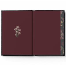 Imagen Secuandaria de Jane Eyre. Abrir galería completa.