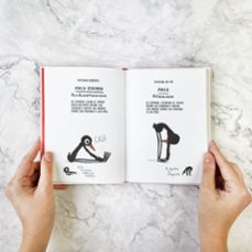 yoga para tiesos-marion deuchars-9788419466655