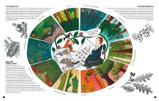 el bosc es casa nostra-sara fernandez-sonia roig-9788417555856