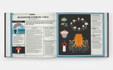 full of life: exploring earth s biodiversity-isabel thomas-9781838665357