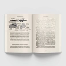 el cuerpo, una historia por partes-ramon muñoz chapuli-9788413613260