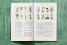 leonhart fuchs. the new herbal-werner dressendorfer-9783836587662