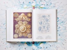 the art and science of ernst haeckel-rainer willmann-julia voss-9783836526463