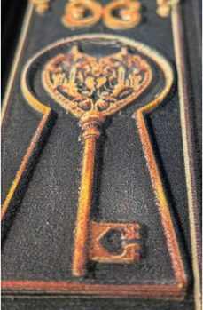 belleza feroz (ed. limitada para coleccionistas)-jennifer donnelly-9788410479364