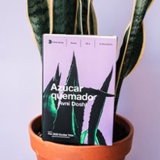 azúcar quemado-avni doshi-9788499988467