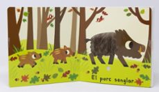 el bosc. toca i escolta-marion billet-9788413894072