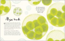 maravillas naturales-9780241469279