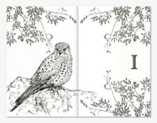 hamnet (edición ilustrada)-maggie o farrell-9788410178779