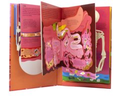 anem a veure el cos humà-timothy knapman-9788413893181