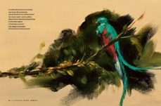 la vuelta al mundo en 30 poemas-alicia aradilla marin-9791387761882