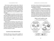 la salud empieza en tu boca-sandra g. martín-9791387905682