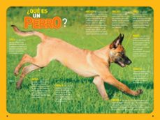 como hablar perro-gary weitzman-aline alexander newman-9788482988283