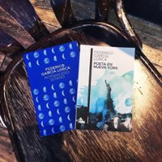 poeta en nueva york-federico garcia lorca-9788467036084
