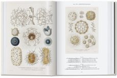 ernst haeckel ; 40th anniversary edition-rainer willmann-9783836584289