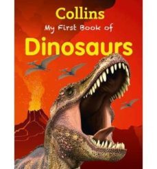 my first book of dinosaurs-9780007528301