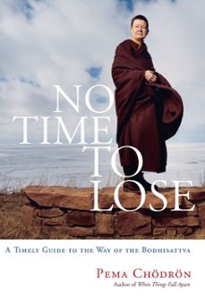 no time to lose (ebook)-pema chodron-9780834821101