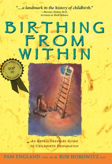 birthing from within: an extra-ordinary guide to childbirth prepa ration-pam england-rob horowitz-9780965987301