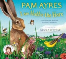 -pam ayres-9781529067101