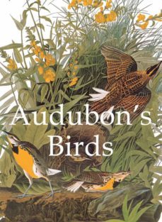 -john james audubon-9781781608401